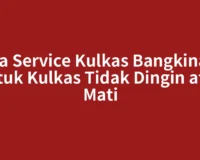 Jasa Service Kulkas Bangkinang untuk Kulkas Tidak Dingin atau Mati