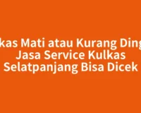 Kulkas Mati atau Kurang Dingin? Jasa Service Kulkas Selatpanjang Bisa Dicek